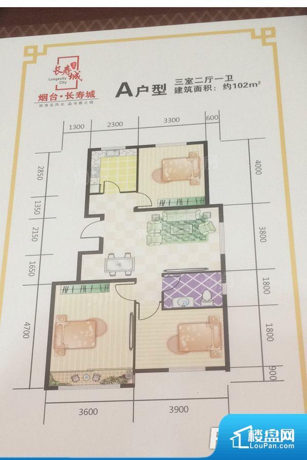 实景图
