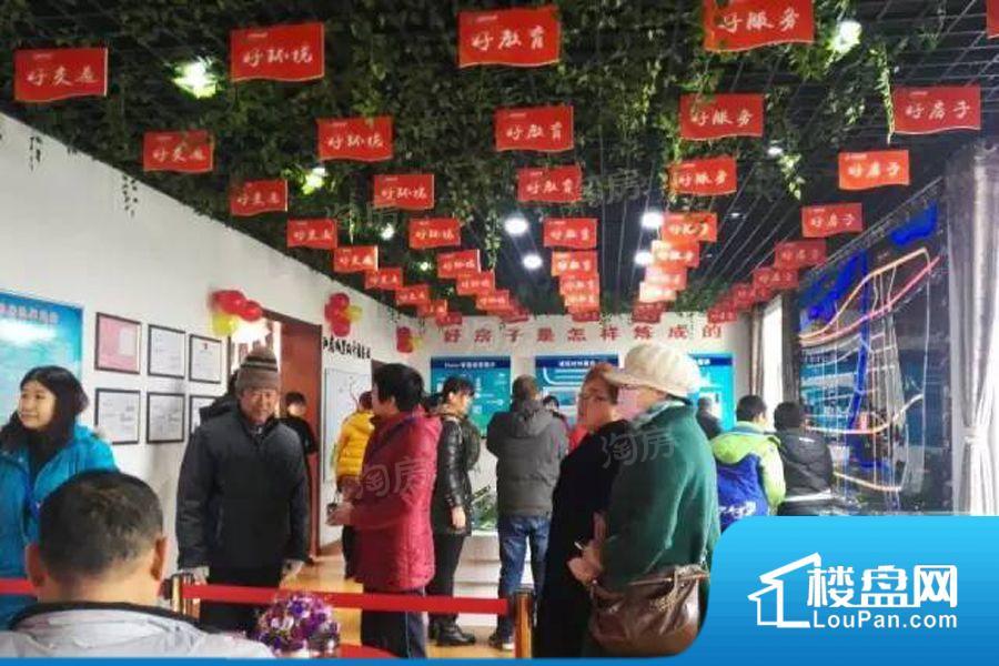 龙燕阳光城实景图