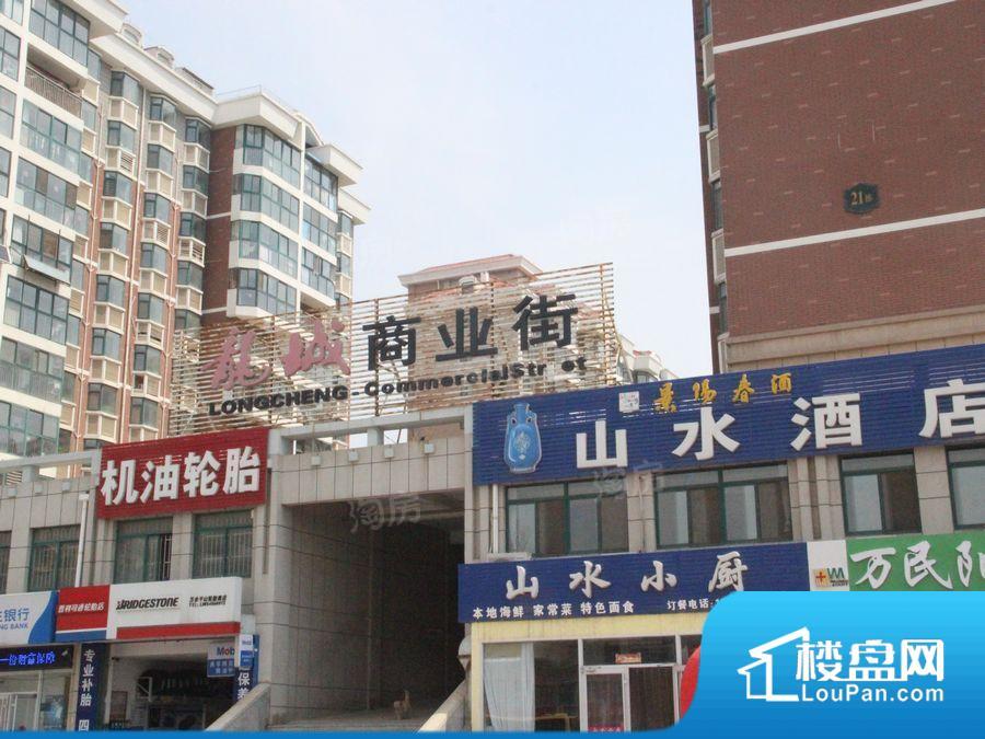 山水龙城蝶苑效果图