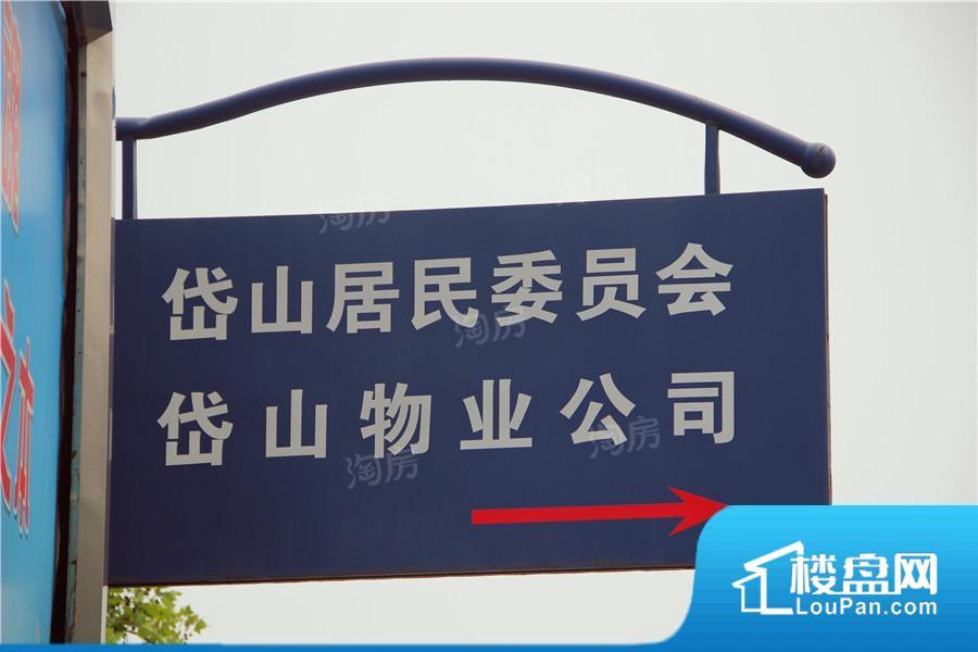 海坡度效果图