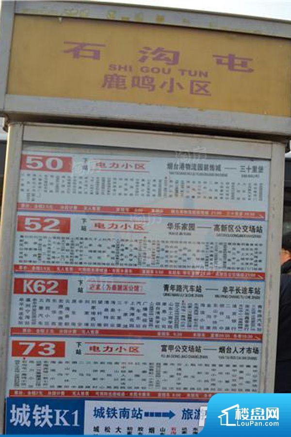 海坡度效果图