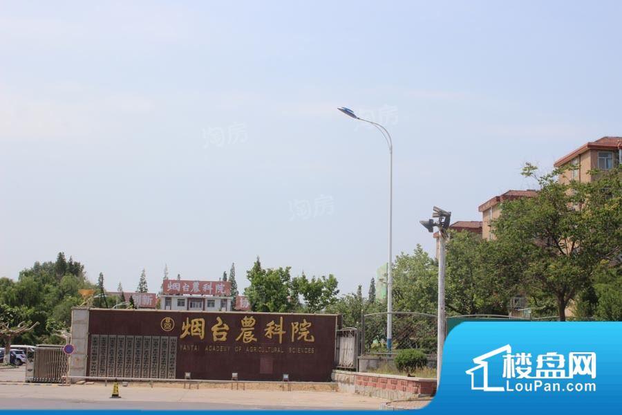 水清木华芝阳城效果图
