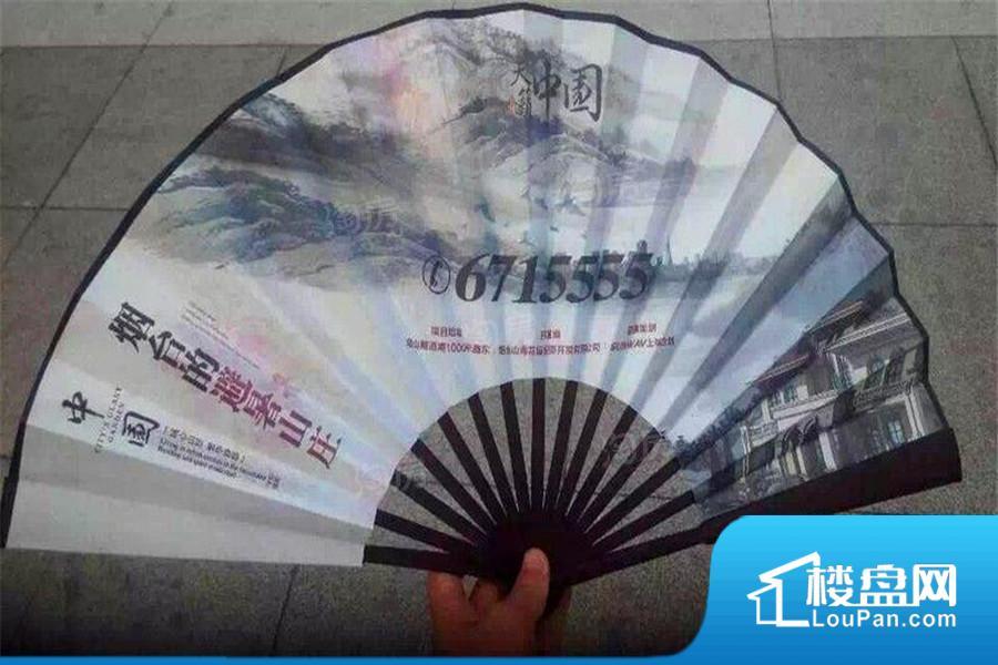 天籁中园实景图