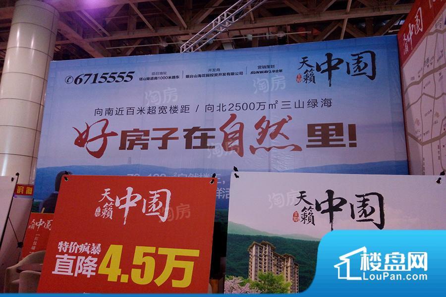 天籁中园实景图