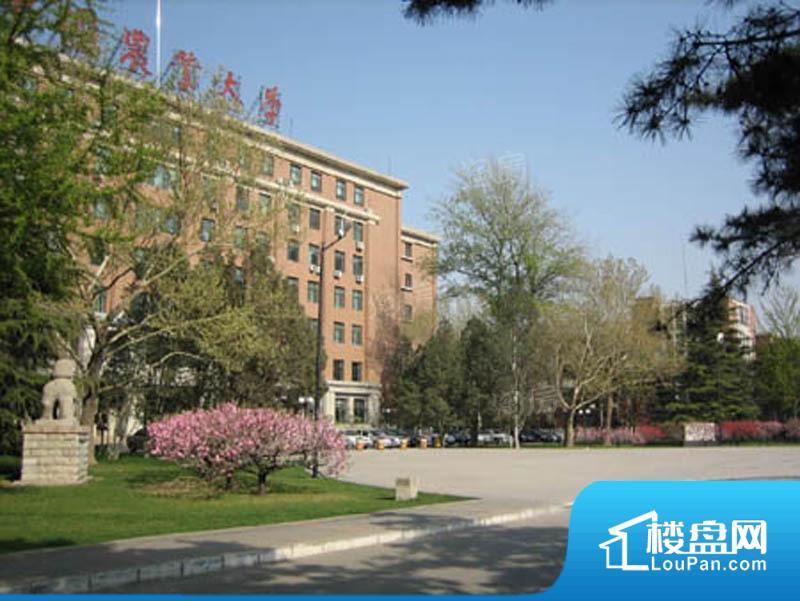 力高阳光海岸效果图