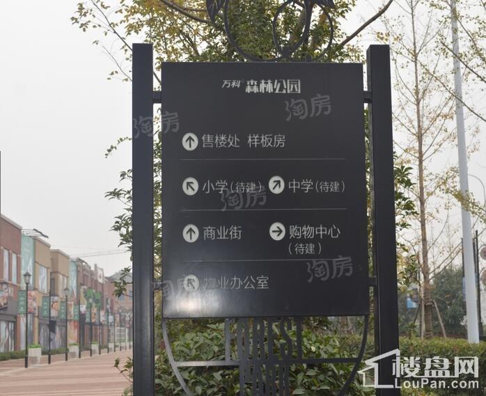 万科森林公园实景图