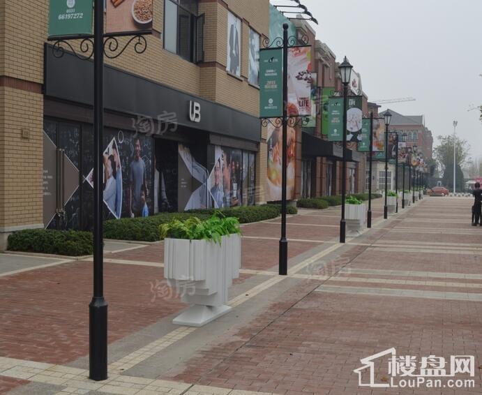万科森林公园实景图