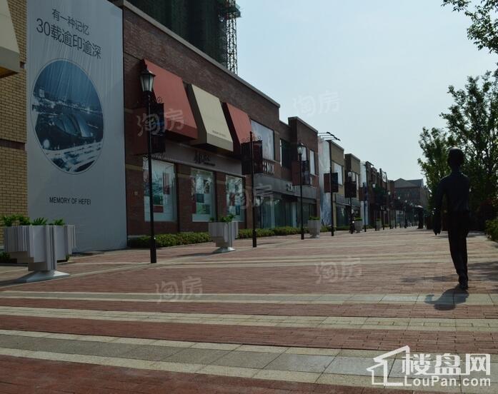 万科森林公园实景图