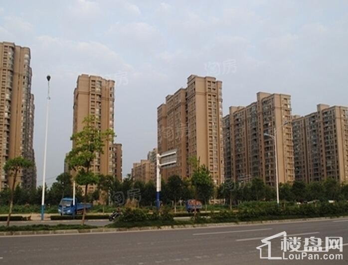 万科森林公园实景图
