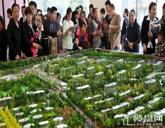 万科森林公园实景图