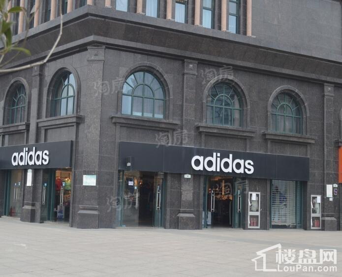万科森林公园配套图
