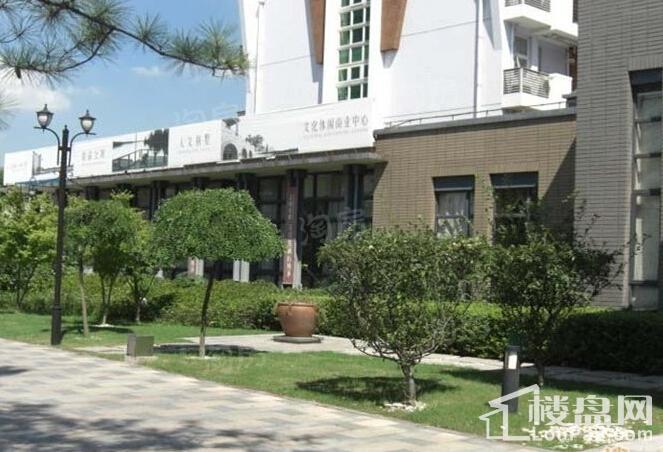 嘉实上城名都别墅实景图