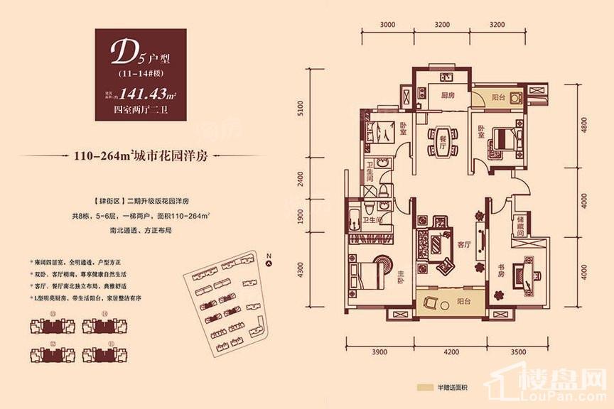 11-14#洋房D5户型