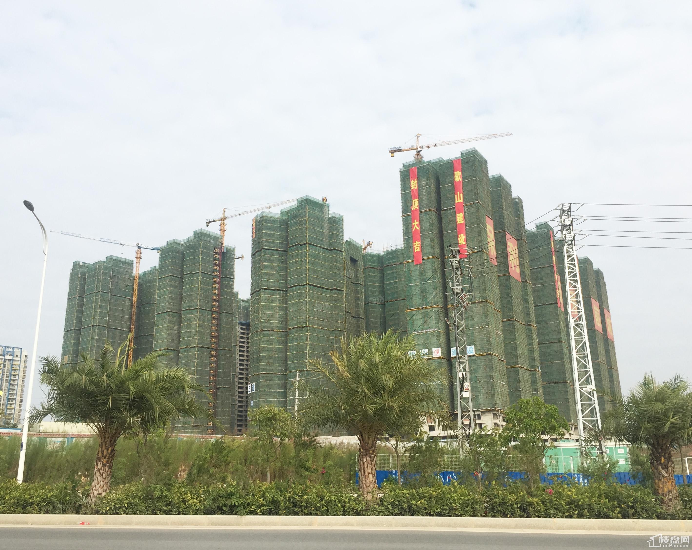 保利领秀前城实景图