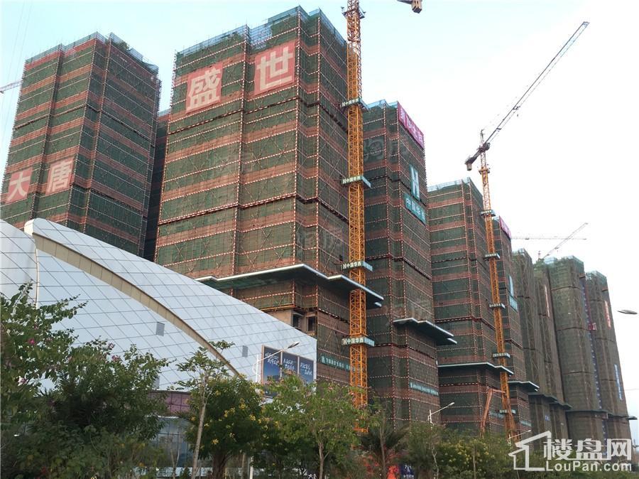 大唐盛世实景图