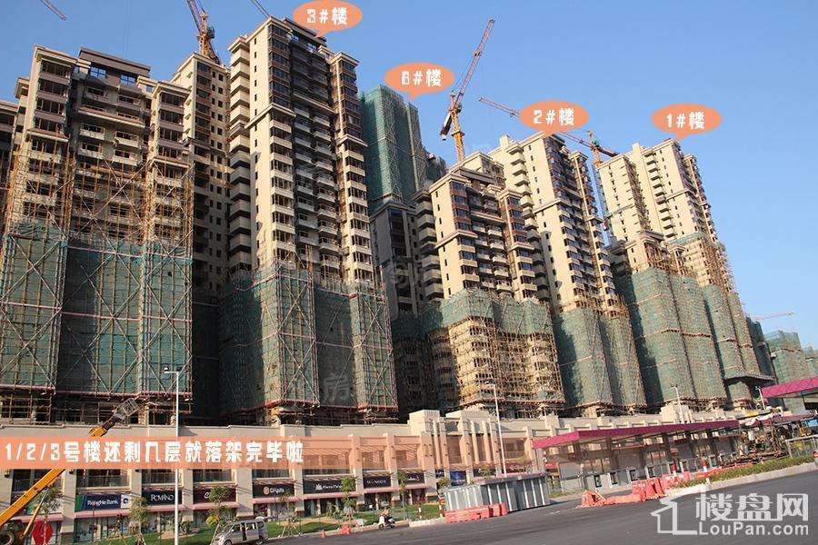 荣和悦澜山实景图