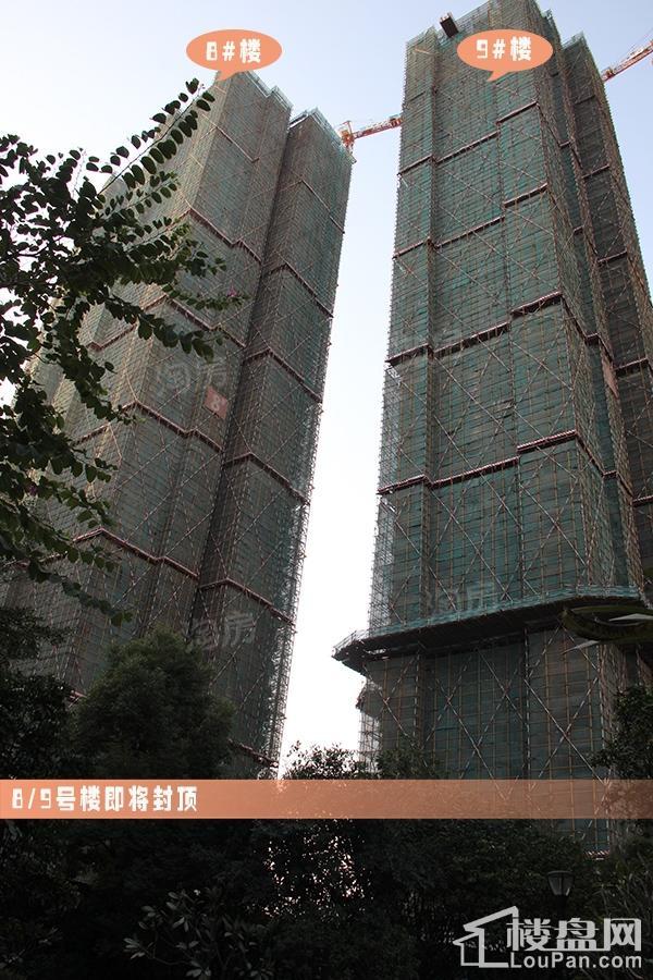 荣和悦澜山实景图