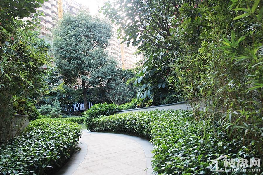 荣和悦澜山实景图