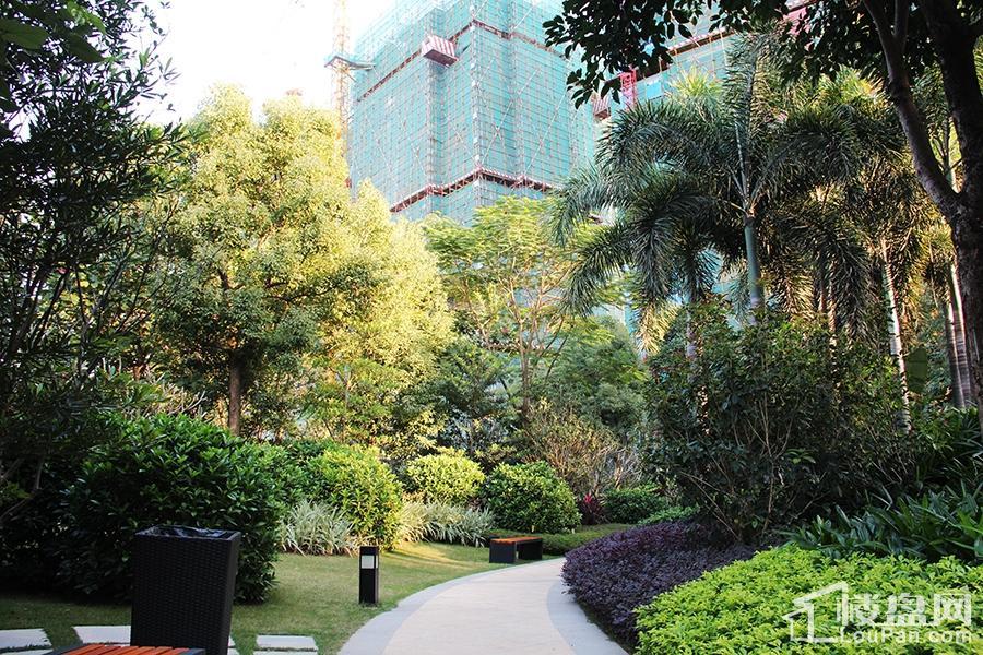 荣和悦澜山实景图