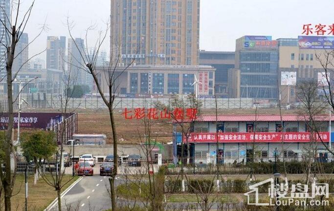 花山堡墅实景图