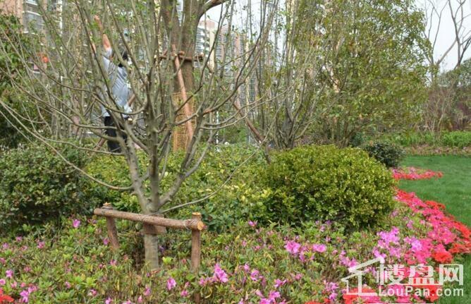 花山堡墅实景图