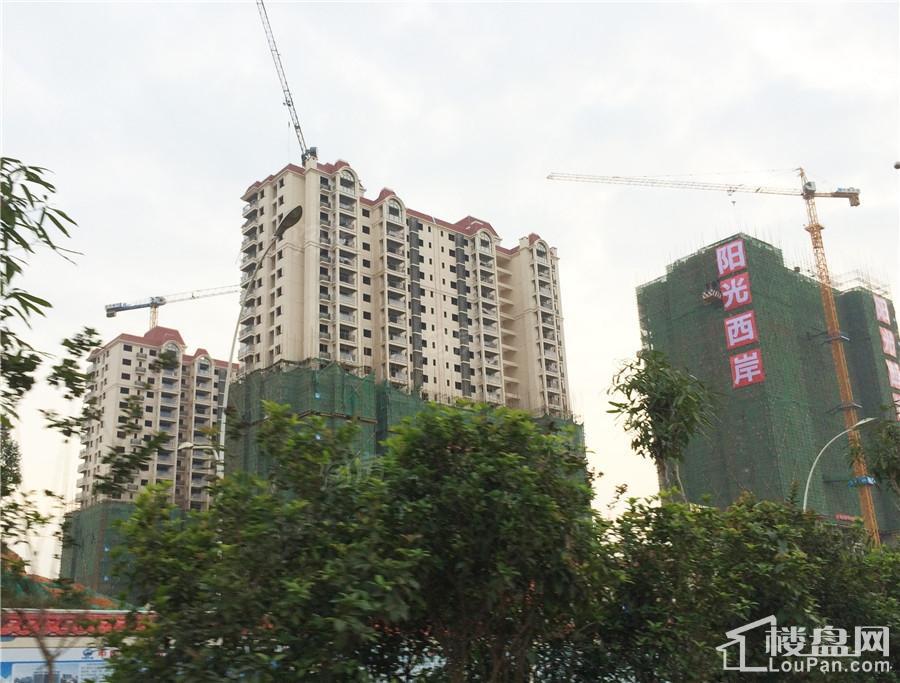 阳光西岸实景图