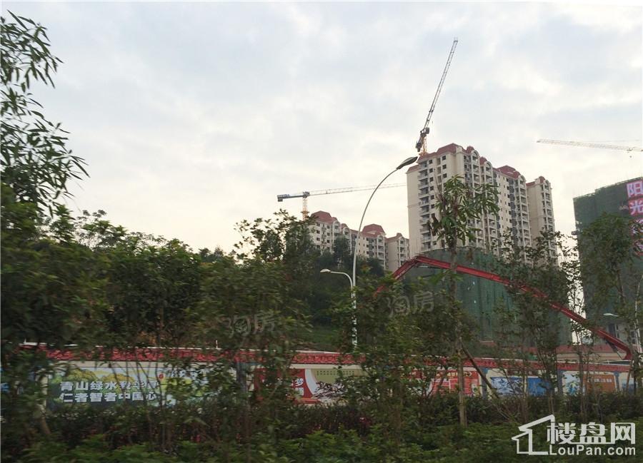 阳光西岸实景图