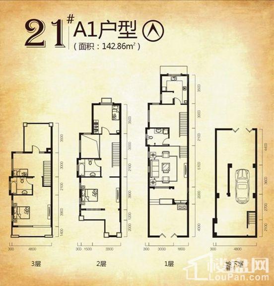 别墅21#楼A1户型