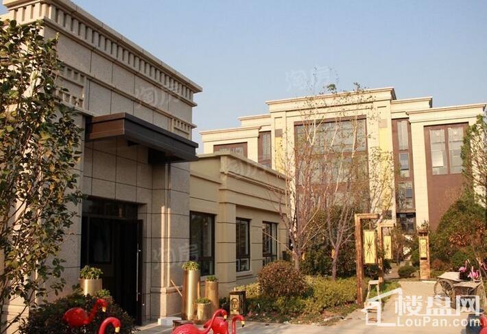 文一豪门金地实景图