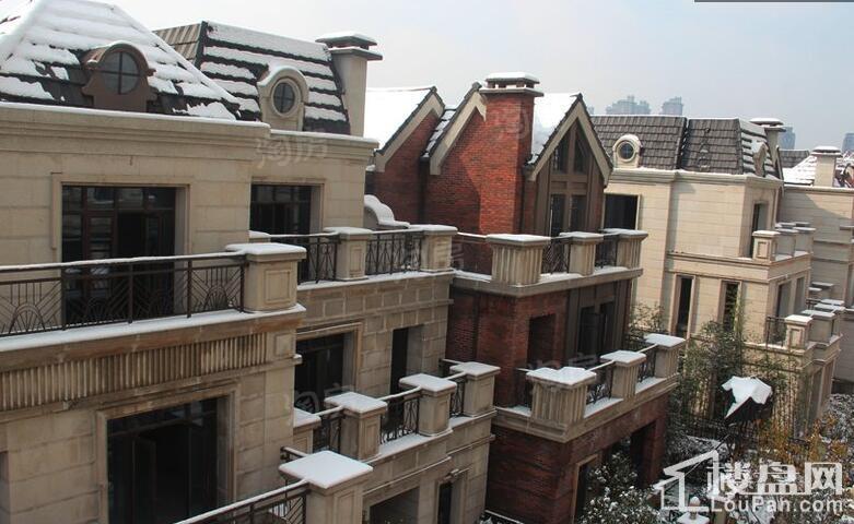 文一品一墅实景图
