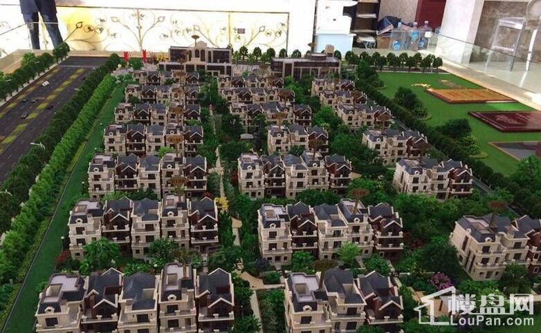 文一品一墅实景图