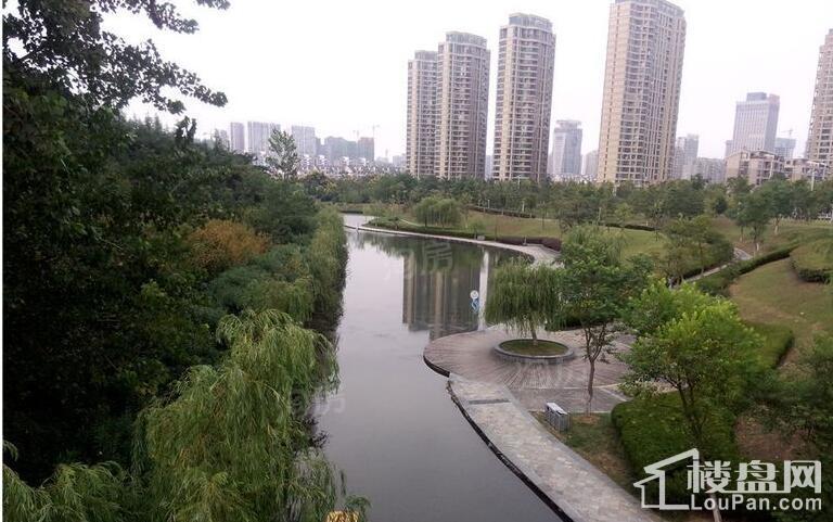 文一品一墅实景图