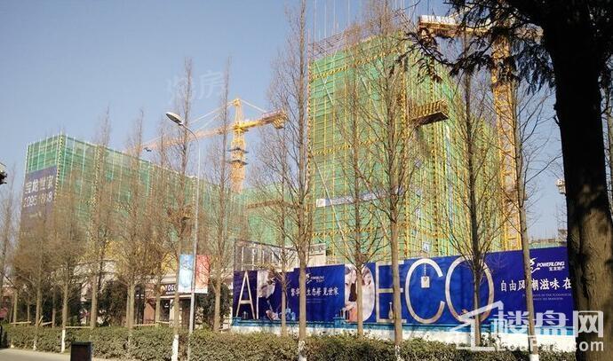 实景图