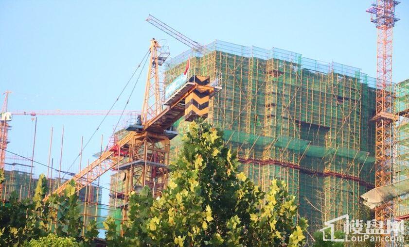 海尔公馆实景图