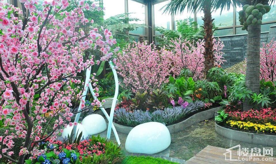 恒大中央广场实景图