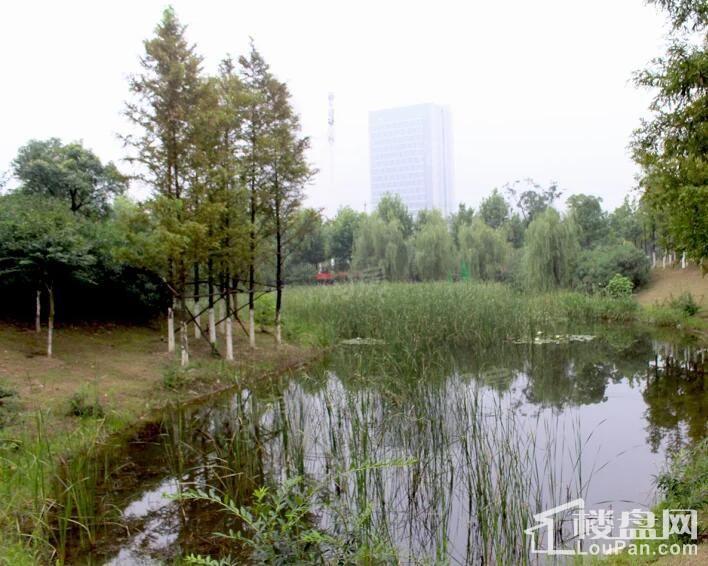 保利海上五月花配套图