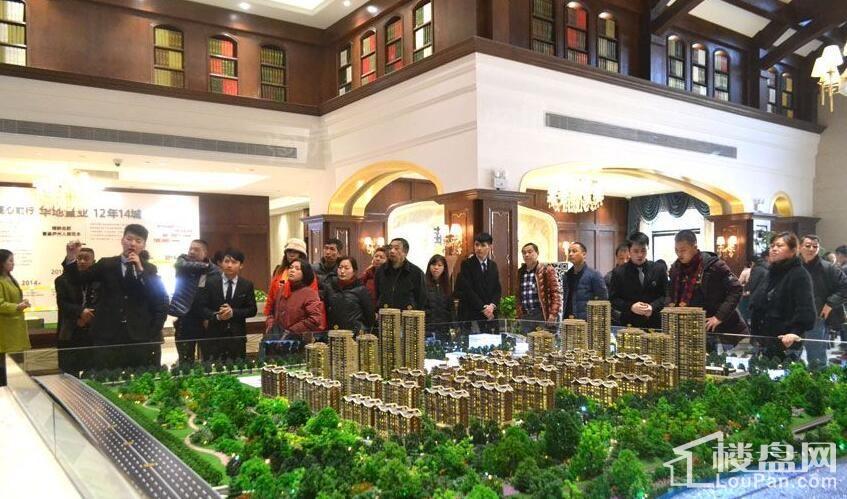 华地森林语实景图