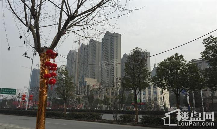 尚泽琪瑞康郡实景图