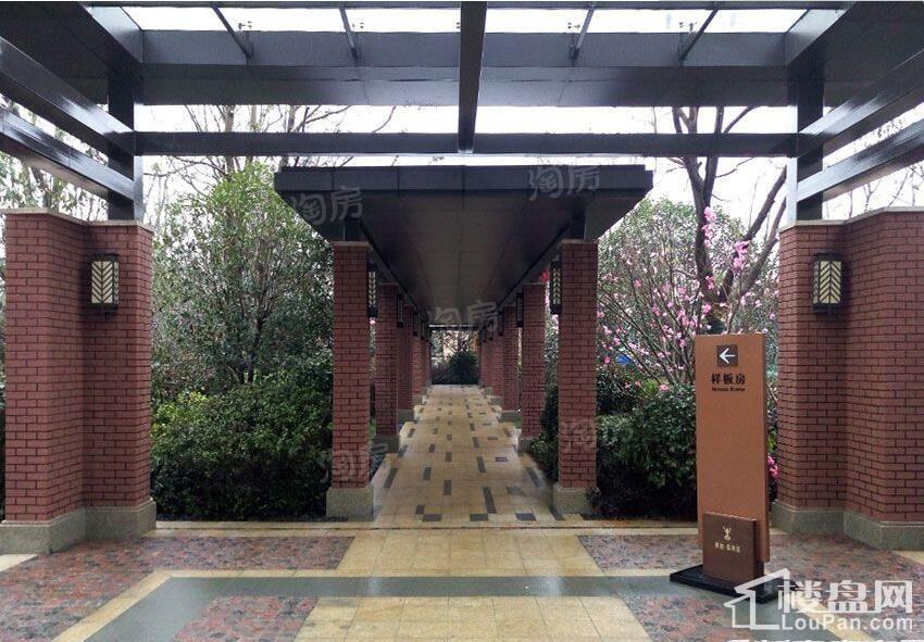 华地森林语实景图