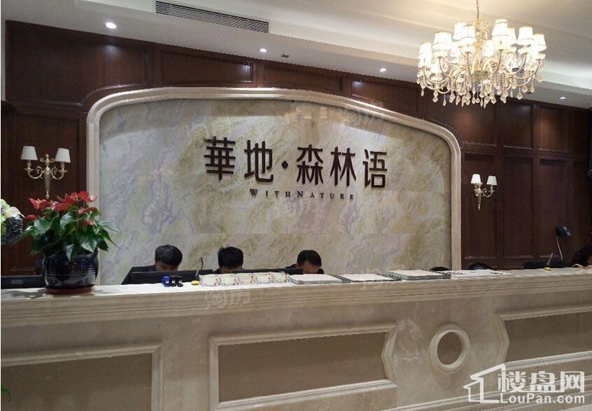 华地森林语实景图