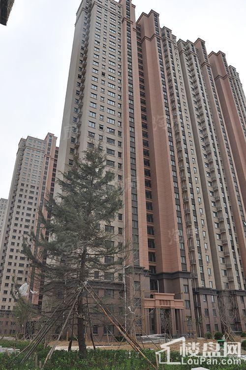 实景图