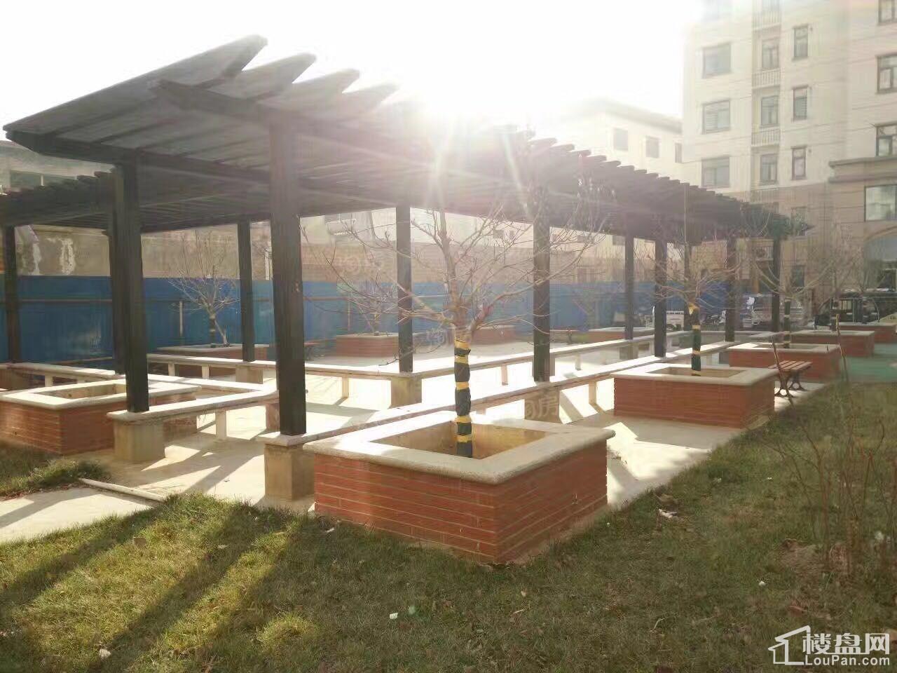 龙华城实景图