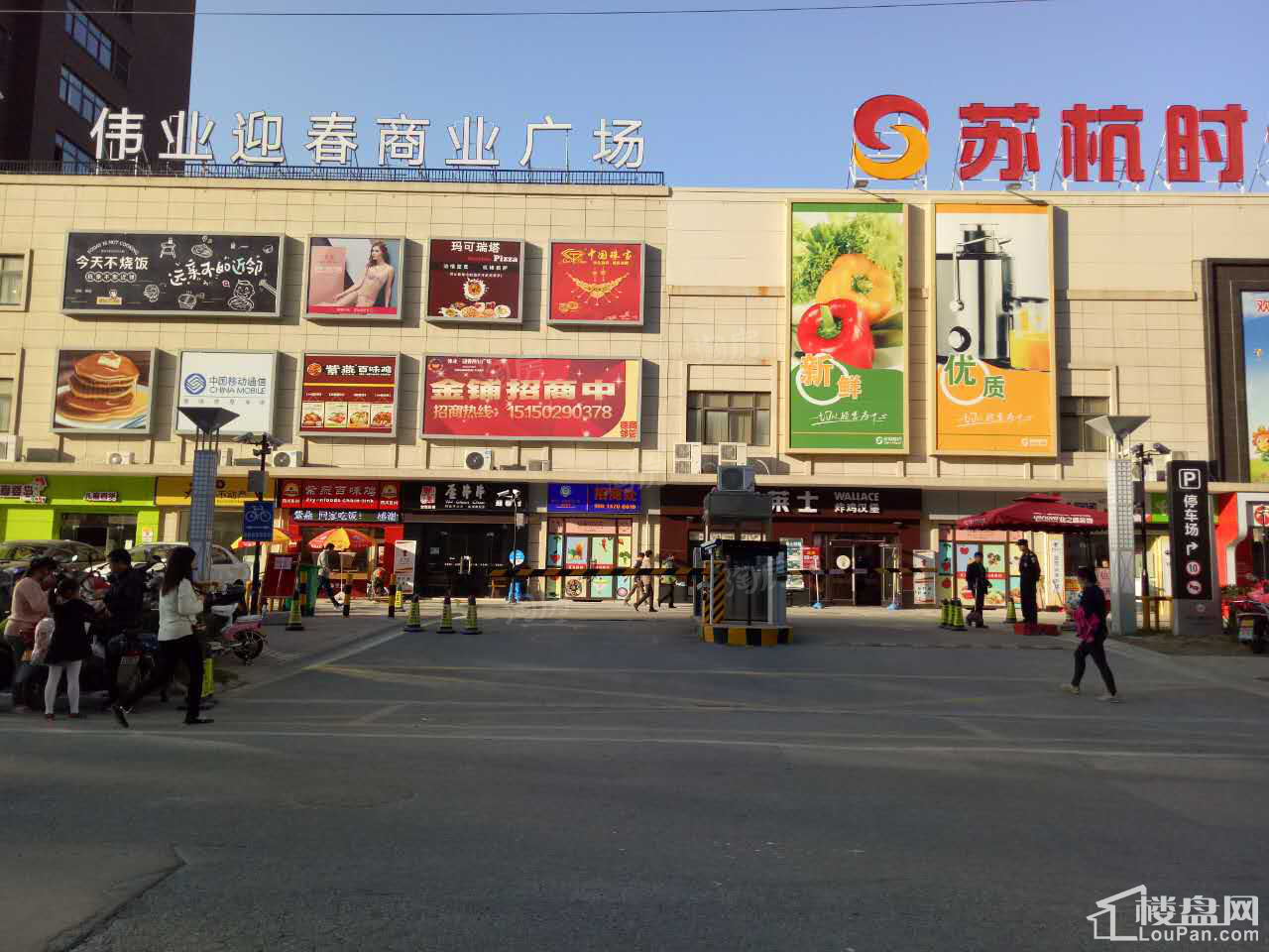实景图