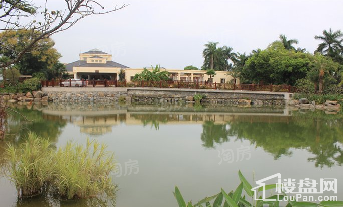 惠阳恒大棕榈岛实景图
