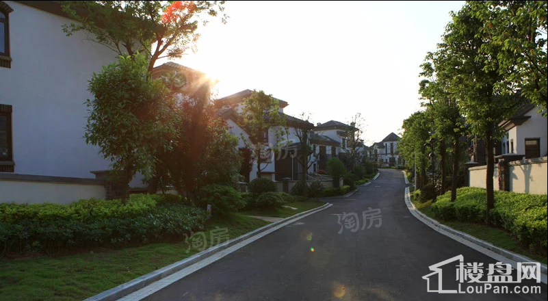 美好紫蓬山一号实景图