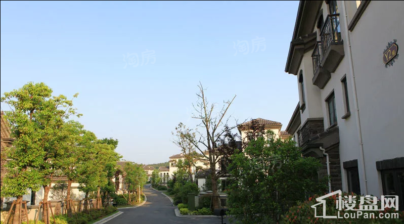 美好紫蓬山一号实景图