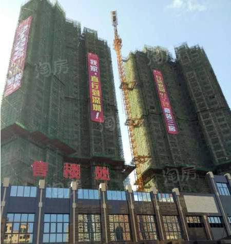 实景图