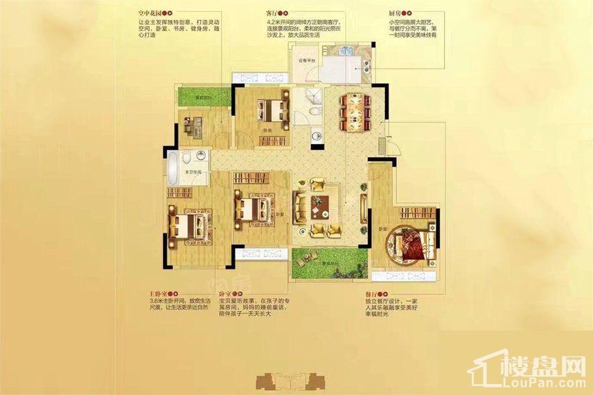 户型图片