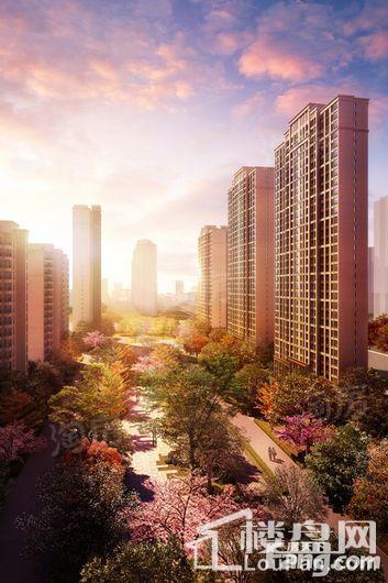 湾上风华效果图