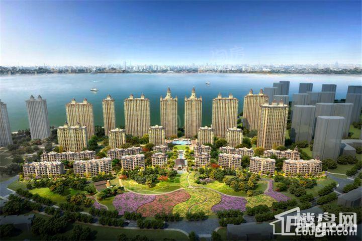 新湖明珠城效果图